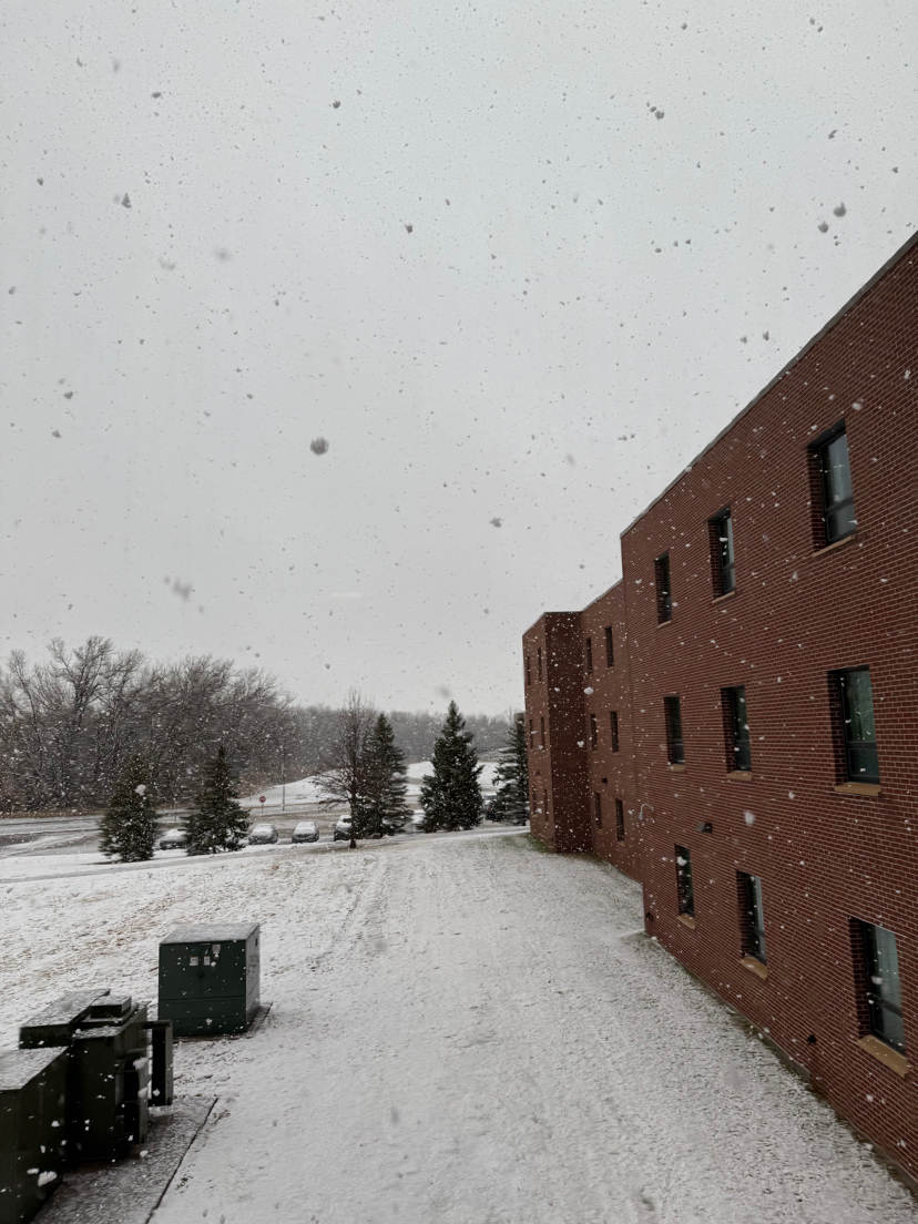 Picture on a snowy day
