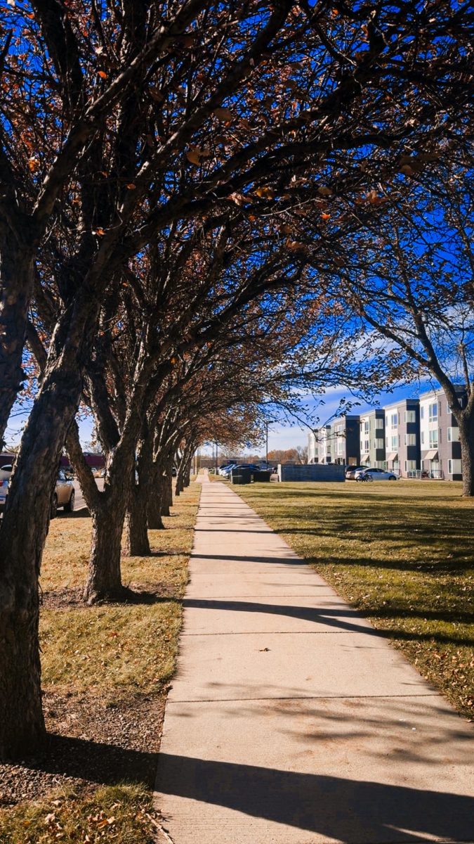 A walk through the trees