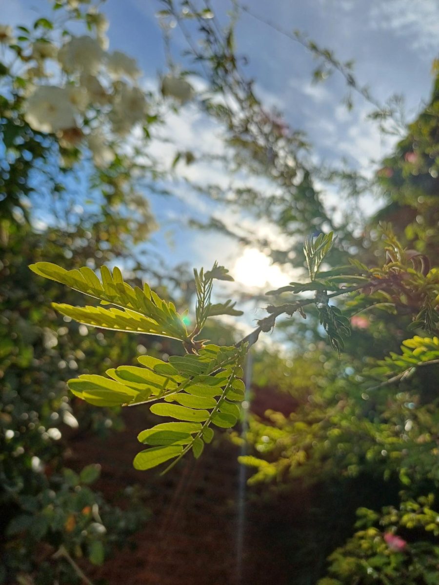 Photo of the Week #21